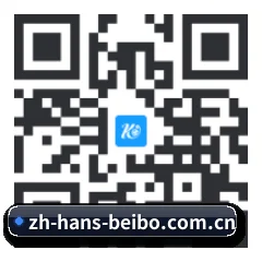 iPhone 专版 二维码